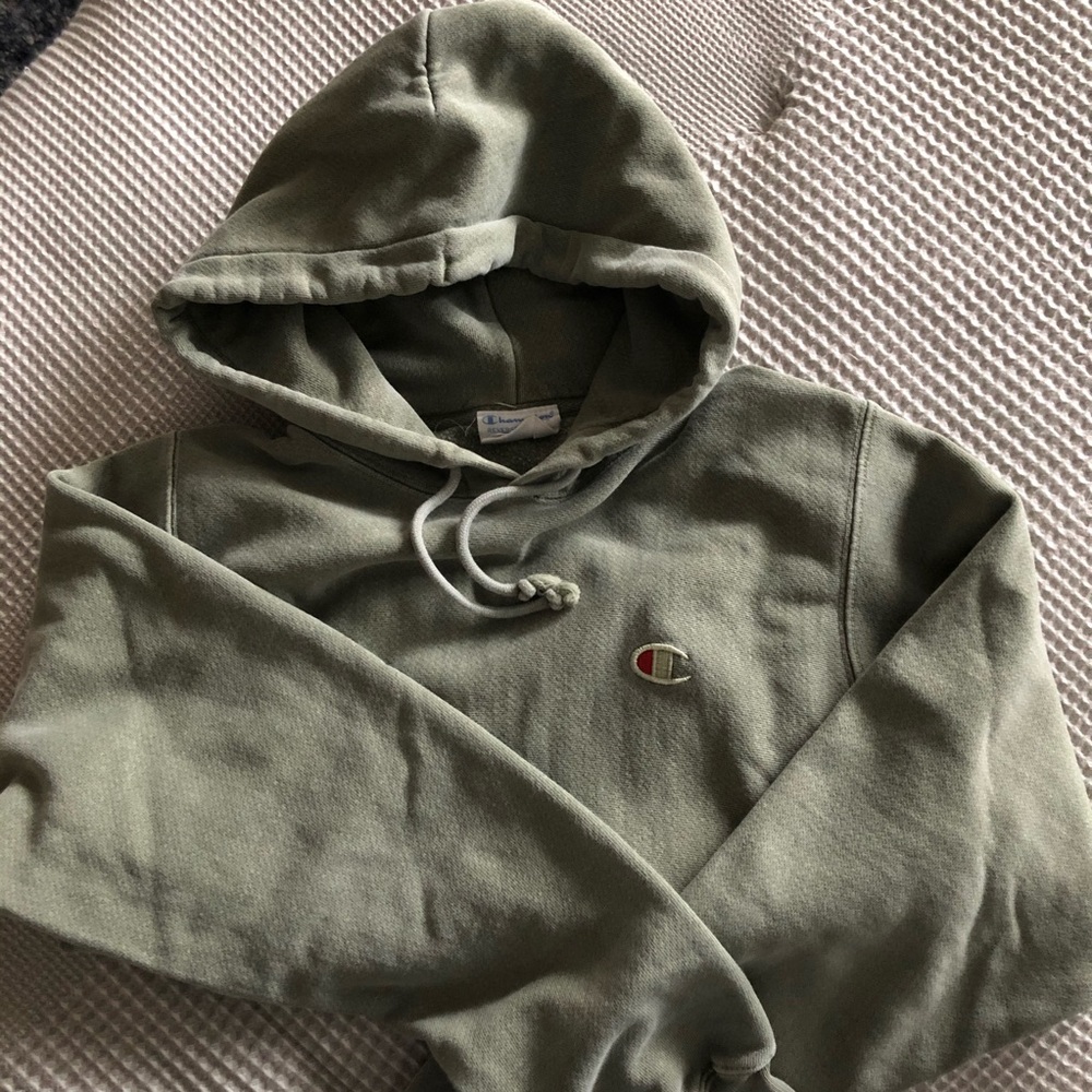 Champion reverse weave pull over